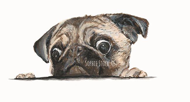 Nosey Pug - A5 Head and Shoulders Landscape, Commission Project