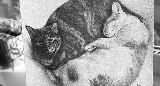 Yin & Yang kitties - 10 x 10” Custom Project, 2 subjects