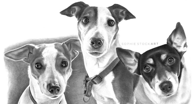 Lucy, Bella, Millie - A3 Head and Shoulders Portrait, 3 Subjects