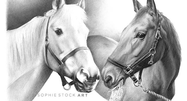 Two Horses - A4 Head and Shoulders Landscape, 2 subjects