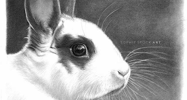 Bunny Girl - A5 Head & Shoulders Landscape